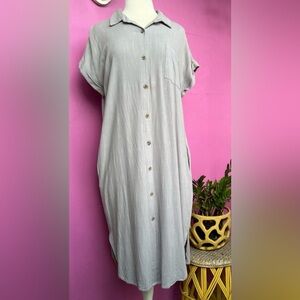 Wishlist Shirt Dress